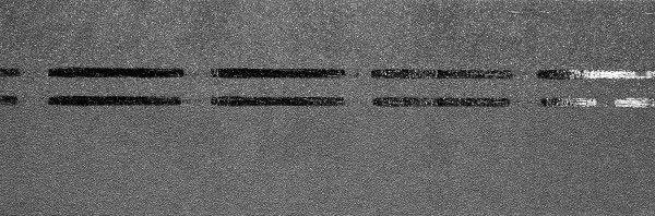 Коньково-карнизная черепица Docke Premium, черника купить в Заводоуковске