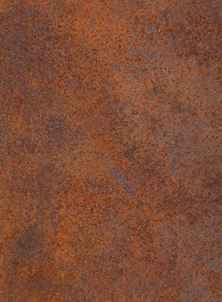 Фиброцементные панели Panda Ржавчина 02510F купить в Заводоуковске